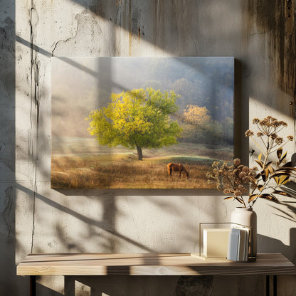 Tree of Life artwok Wall Artwork In White Floating Frame