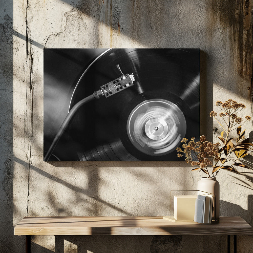 Artwork- Vinyl_007-36X24inches-In White Floating Frame
