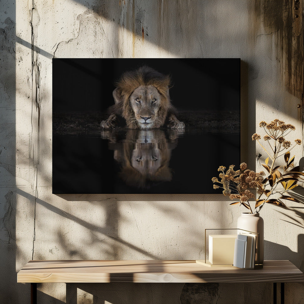 Wall art A Lion at The Night