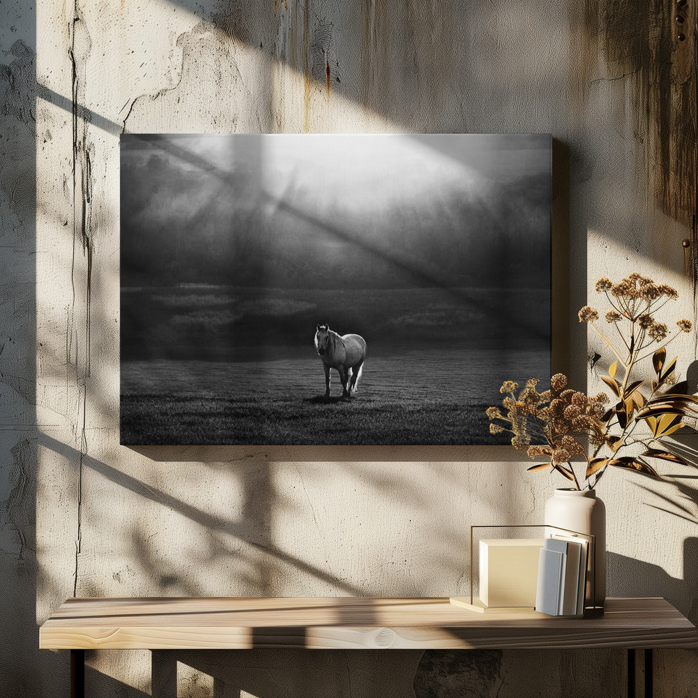 Artwork morning appearance. Hourses48X36inches- Black Frame