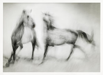 Artwork- Shivers-20X16inches-In White Floating Frame