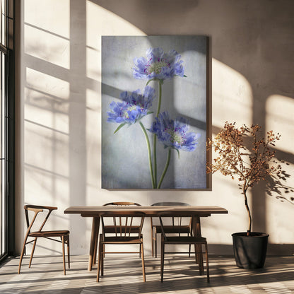  Scabiosa Wall Artwork In White Floating Frame