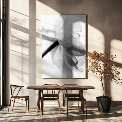  Blooming Flower Wall Artwork In White Floating Frame
