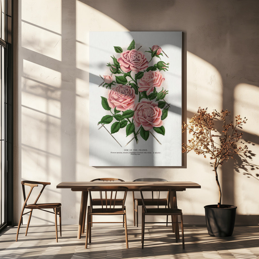  Pink Rose, Gem of the Prairie Lithograph Wall Artwork In White Floating Frame