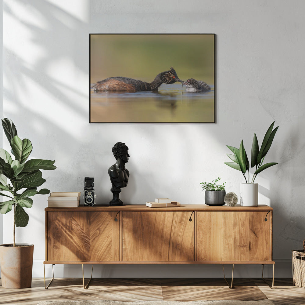 canvas prints Feeding48X36inches- White Frame