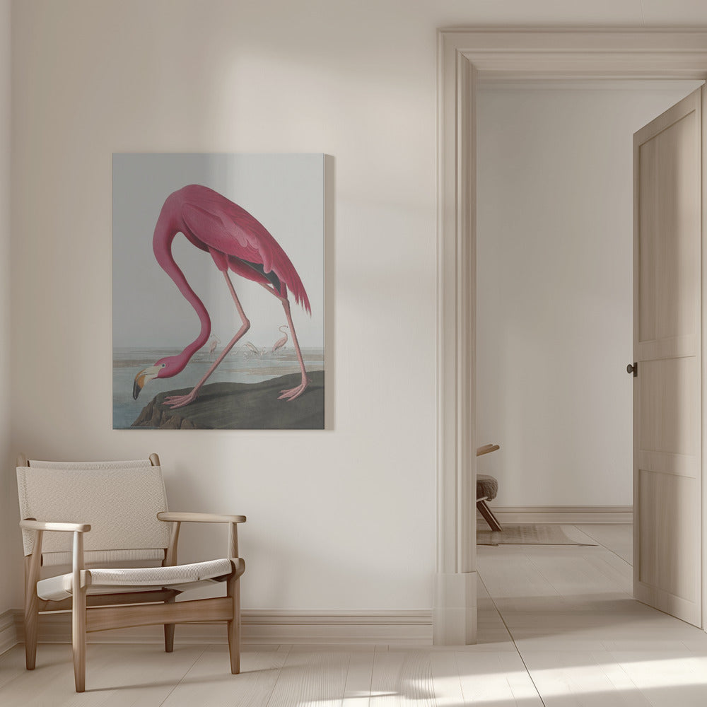  Pink Flamingo Ii From Birds of America (1827) Wall Artwork 0