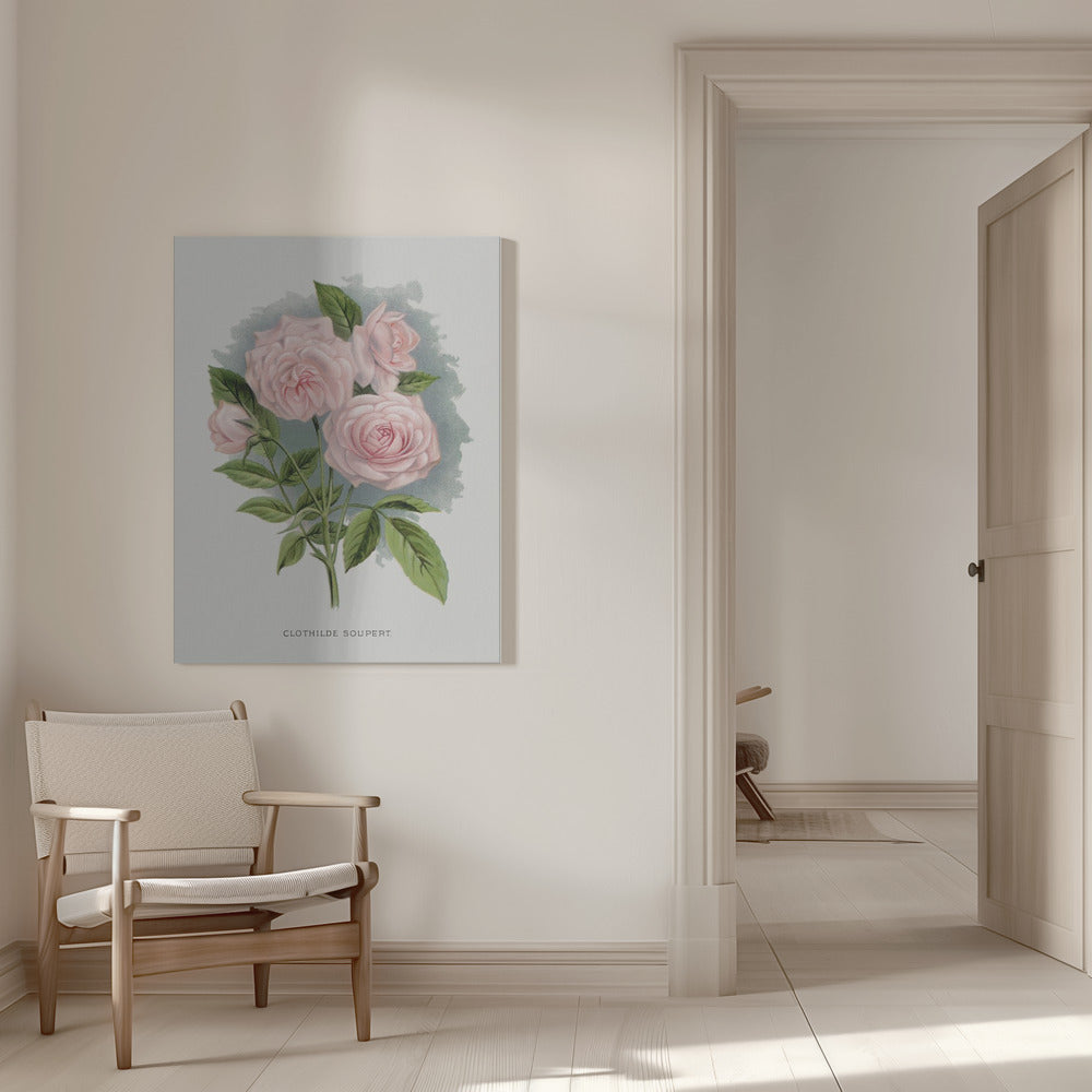  Pink Rose, Clothilde Soupert Lithograph Wall Artwork 0