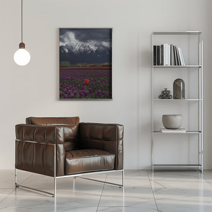 Wall art Tulip in Vancouver, Canada-16X20inches-In Black Floating Frame