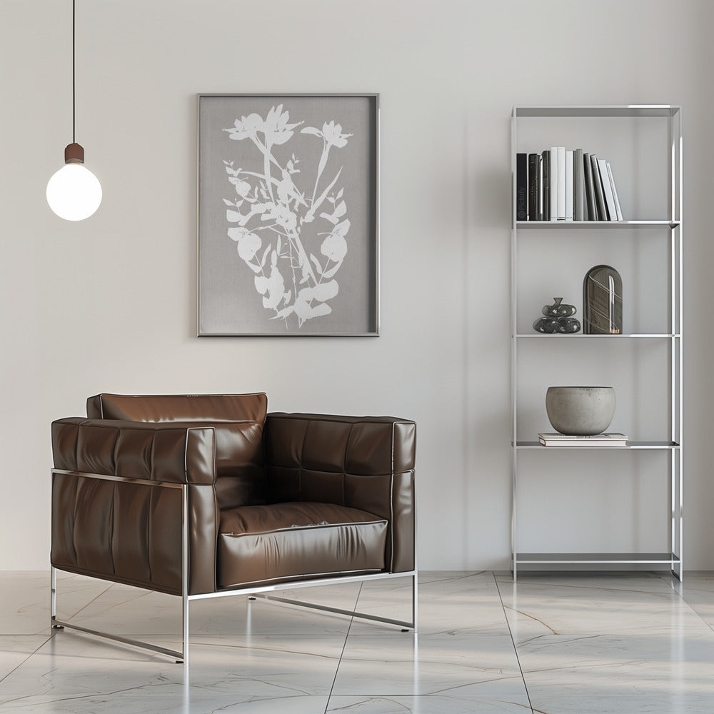Artwork- Botanical Illustration 8-36X48inches-In Black Floating Frame