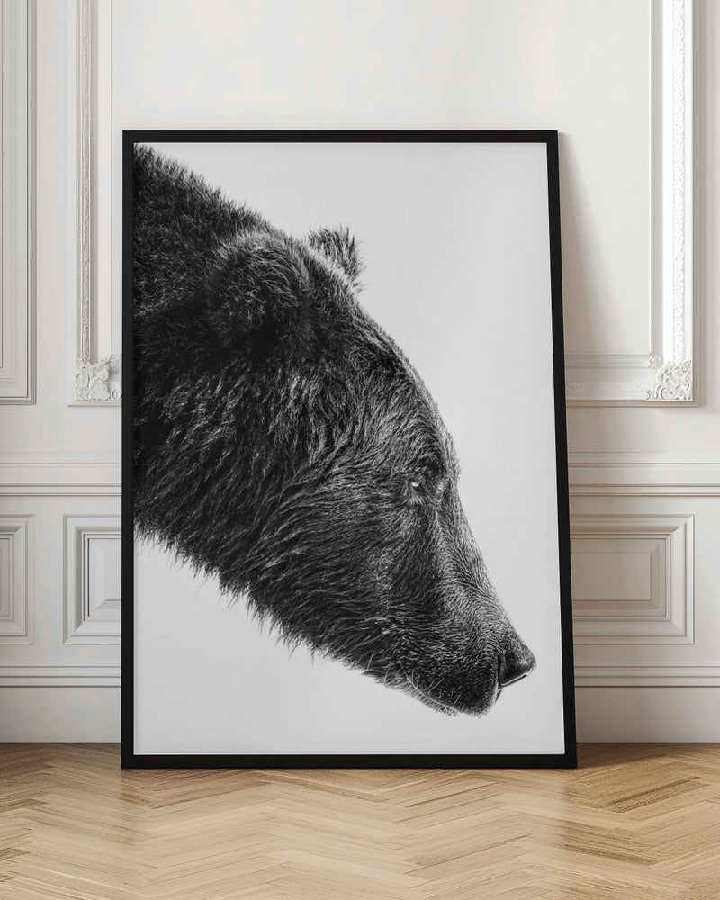 Artwork--inches-