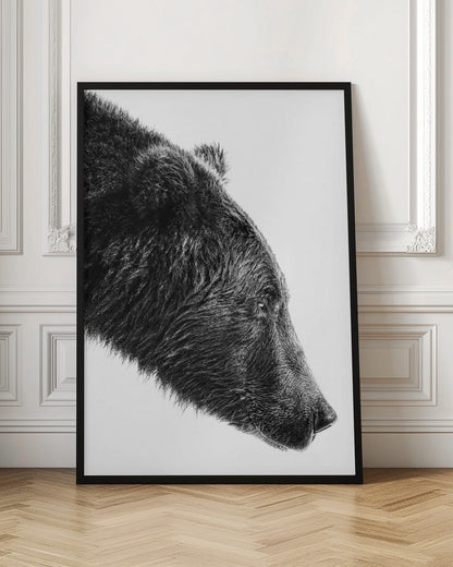Artwork--inches-