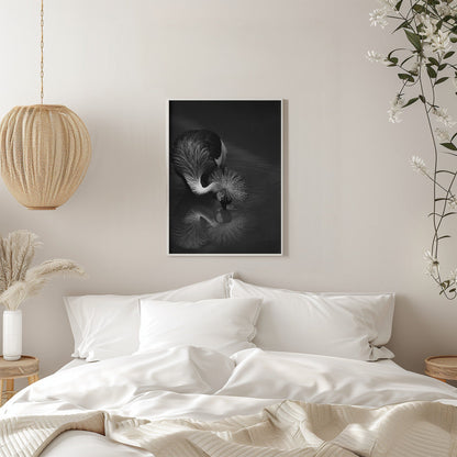 Artwork- The reflection-16X20inches-In White Floating Frame