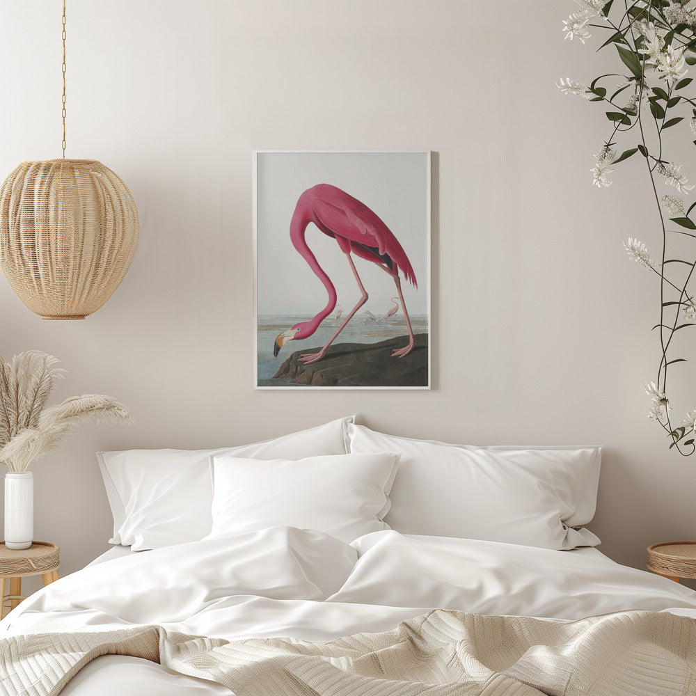  Pink Flamingo Ii From Birds of America (1827) Wall Artwork 0