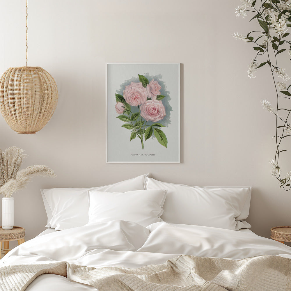  Pink Rose, Clothilde Soupert Lithograph Wall Artwork 0