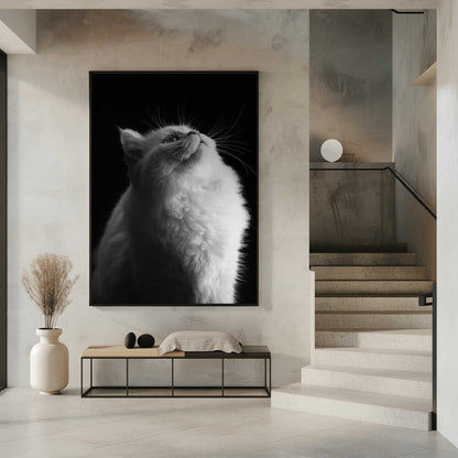Wall art White in Black