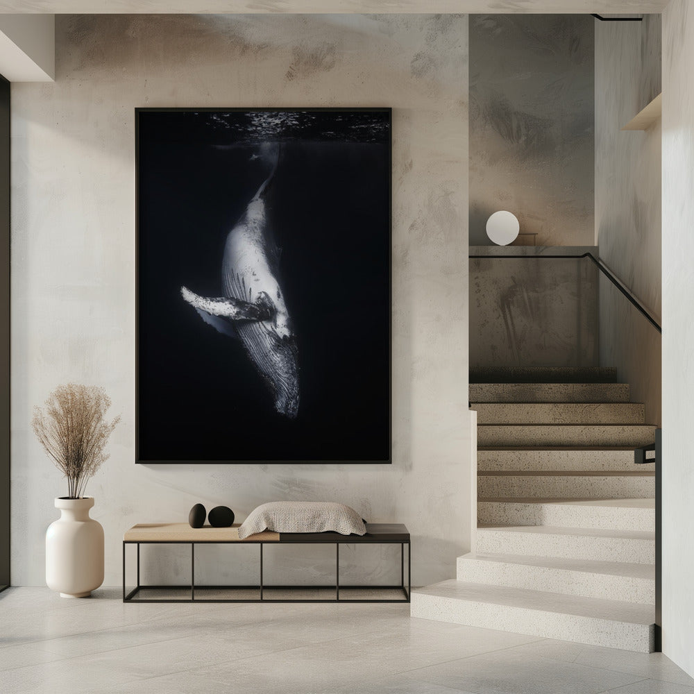  Black Whale Wall Artwork 0