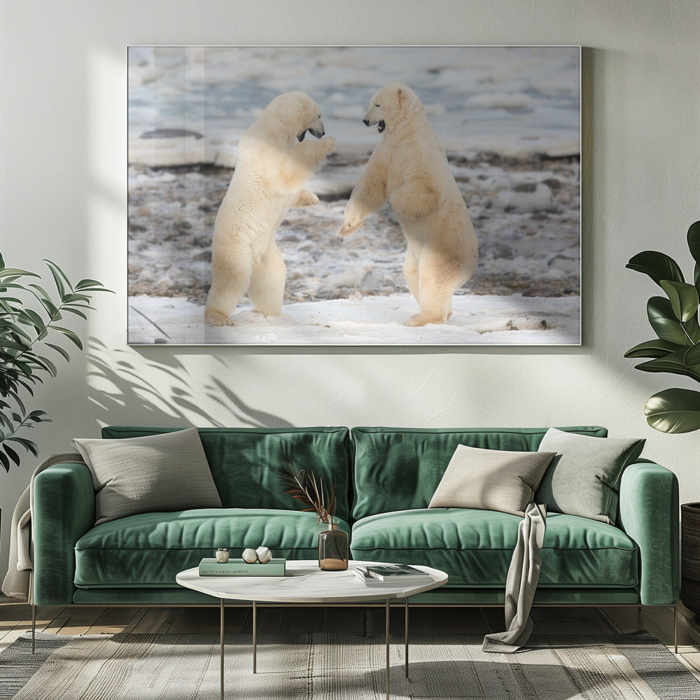 Wall art Fight !-20X16inches-Gallery Wrapped (Ready to Hang)