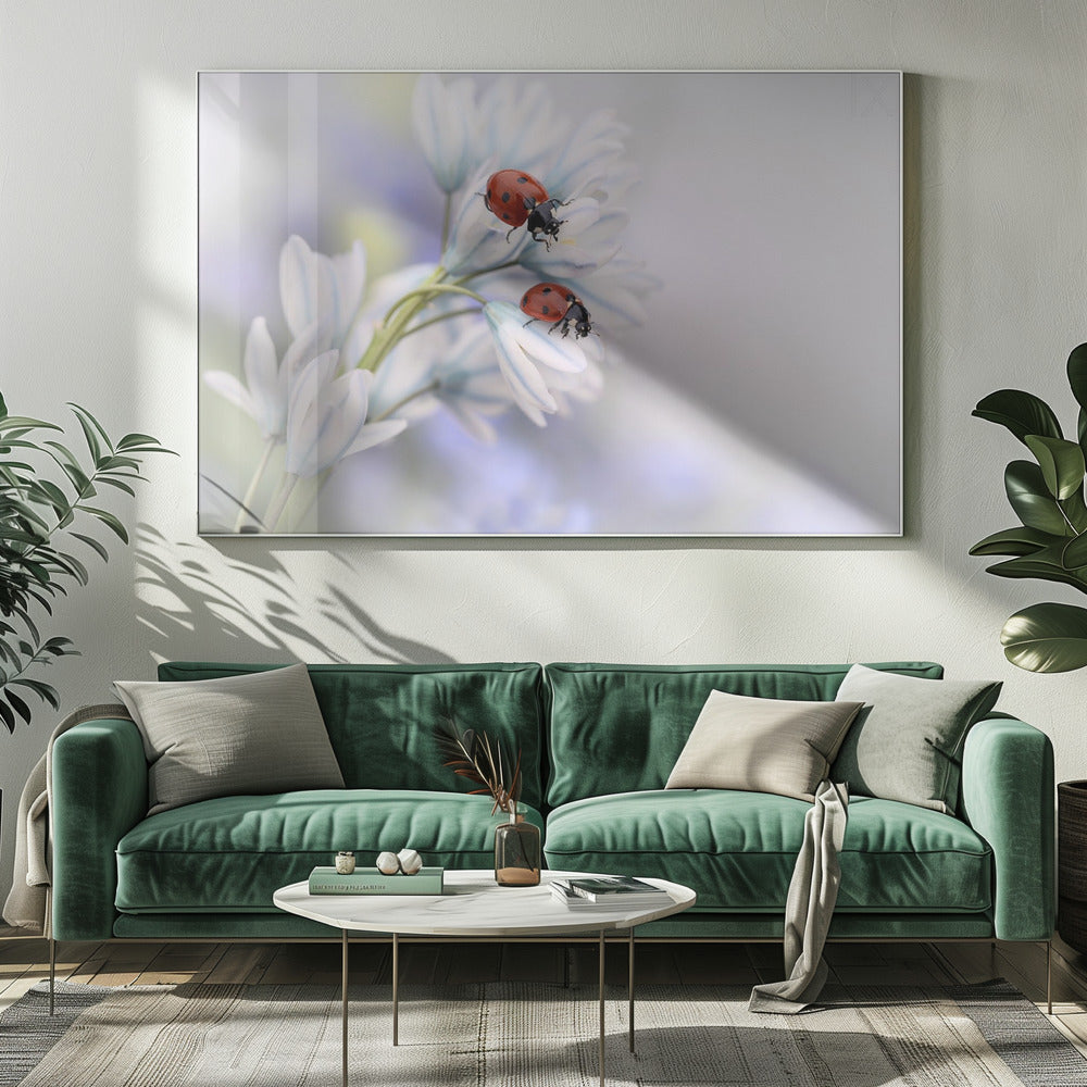 Artwork Ladybirds20X16inches- Unframed