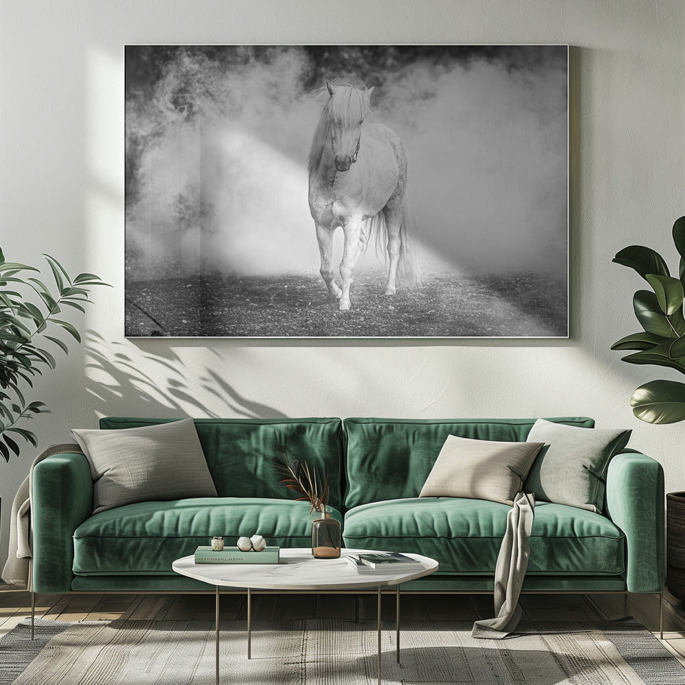 Artwork- Icelandic pony-48X36inches-In Black Floating Frame