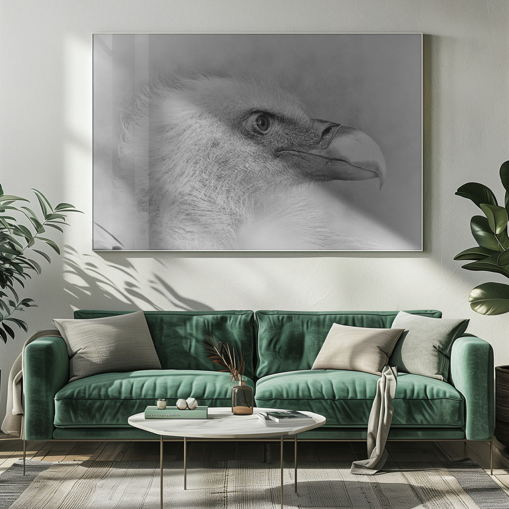Artwork- Bald eagle-48X36inches-In Black Floating Frame