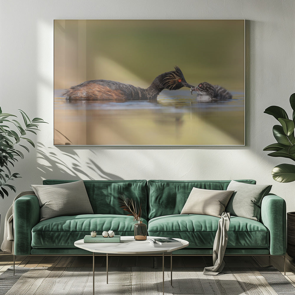 canvas prints Feeding20X16inches- Unframed