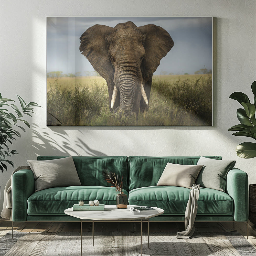 Artwork Encounters in Serengeti. Elephant20X16inches- Unframed