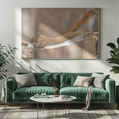Wall art The Acrobat-20X16inches-Gallery Wrapped (Ready to Hang)