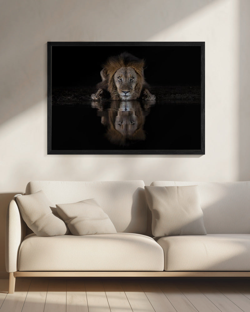 Wall art A Lion at The Night