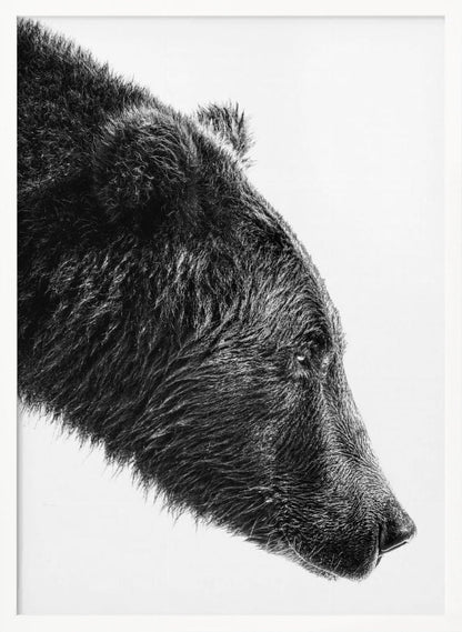 Artwork- The Salmon Catcher-36X48inches-In Black Floating Frame