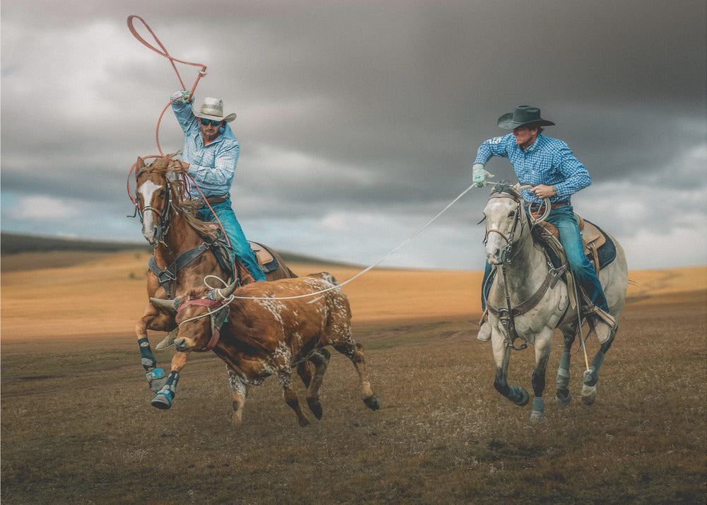  Team Roping Wall Artwork Gallery Wrapped (Ready to Hang)