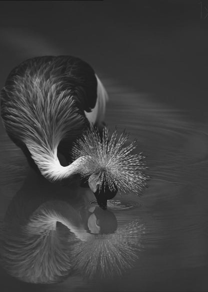 Artwork--inches-