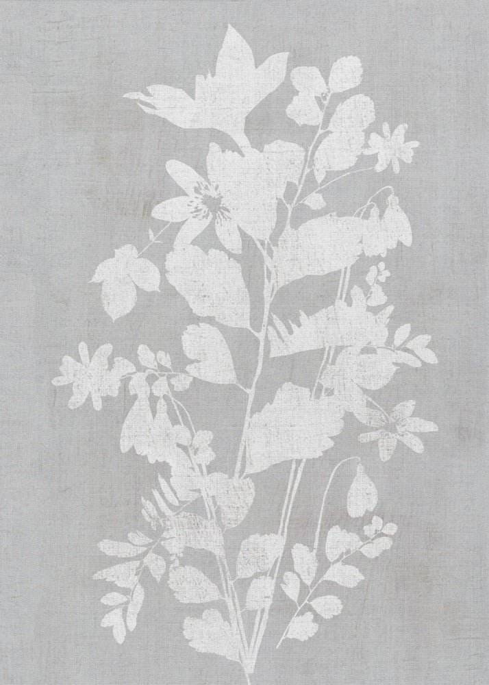 Artwork- Botanical Illustration 3-16X20inches-In Black Floating Frame