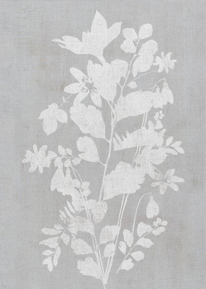 Artwork- Botanical Illustration 3-16X20inches-In Black Floating Frame