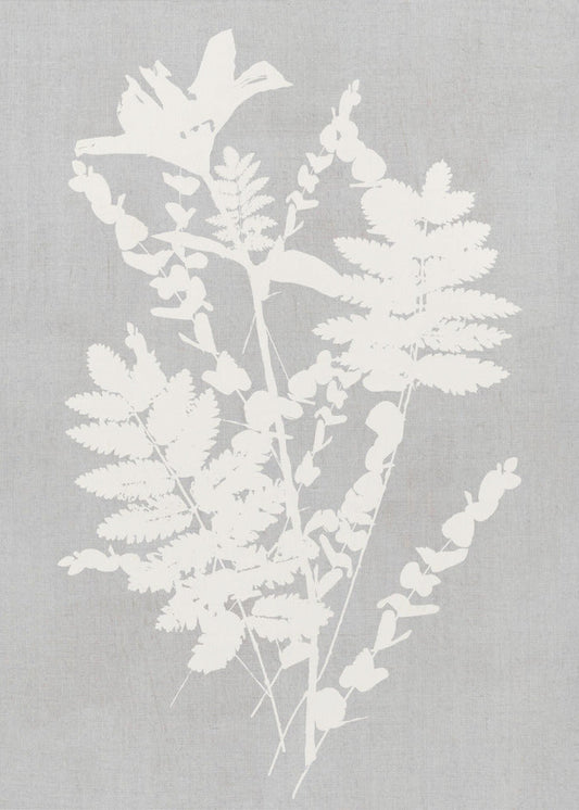 Artwork- Botanical Illustration 6-16X20inches-In Black Floating Frame